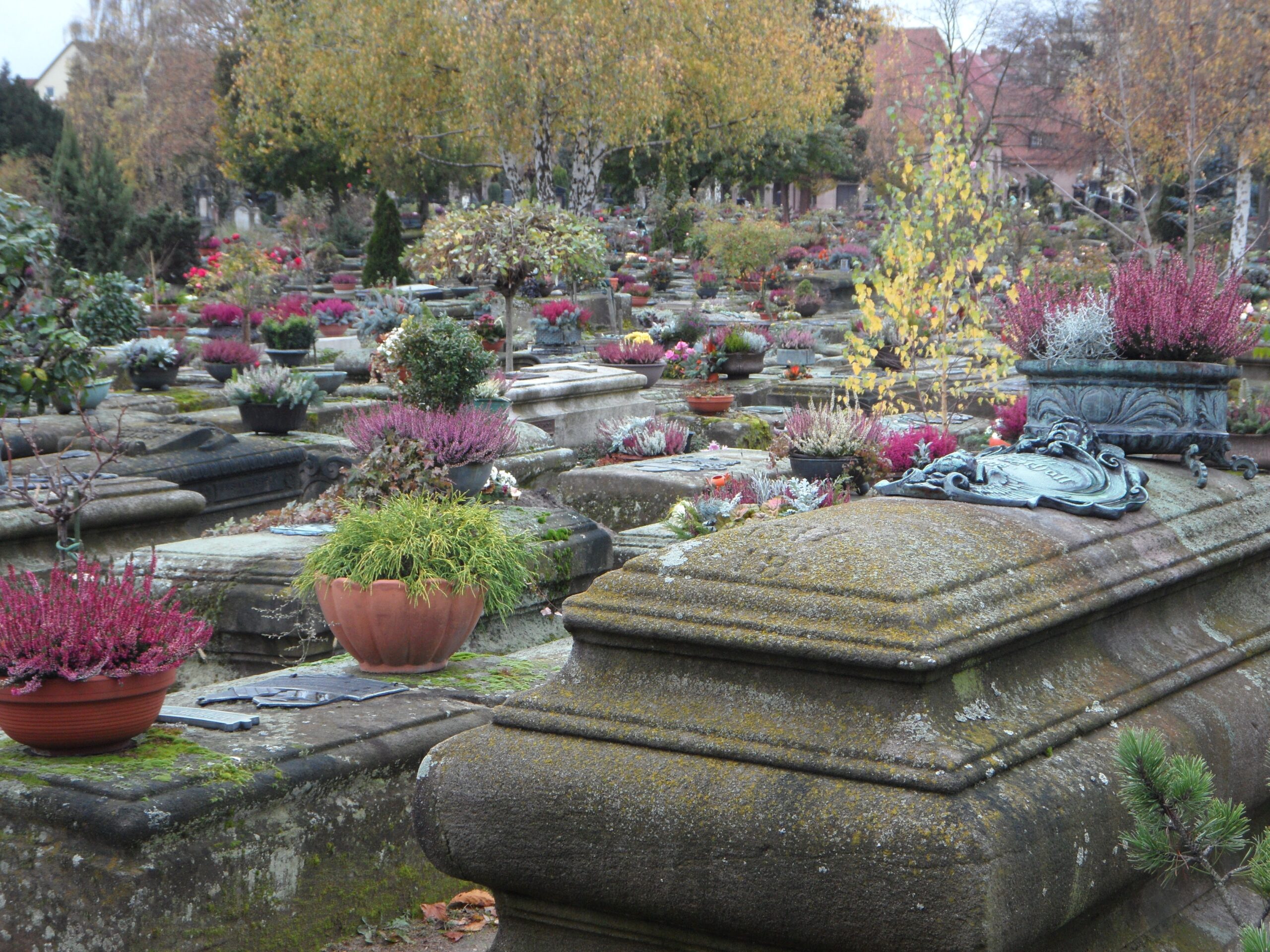 cemetery-206015