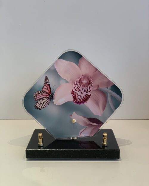 Orchidée et papillon