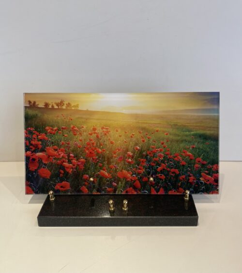 Champ de coquelicots