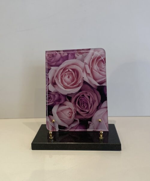 Roses rose