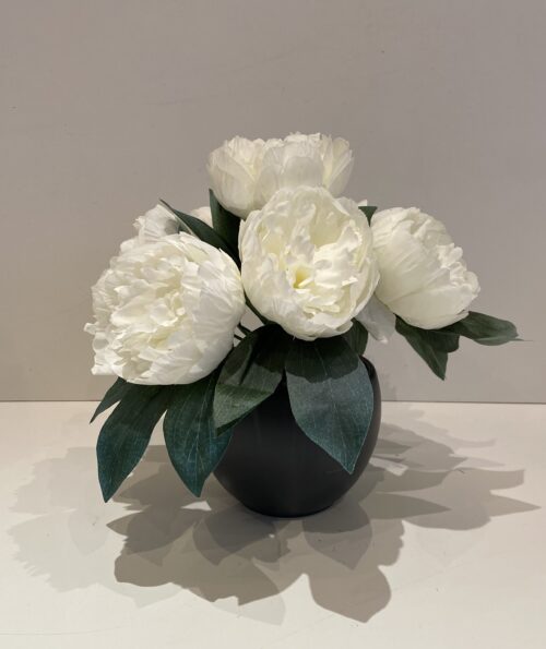 Pot de pivoines blanche