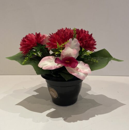 Pot de Chrysanthèmes et Orchidées